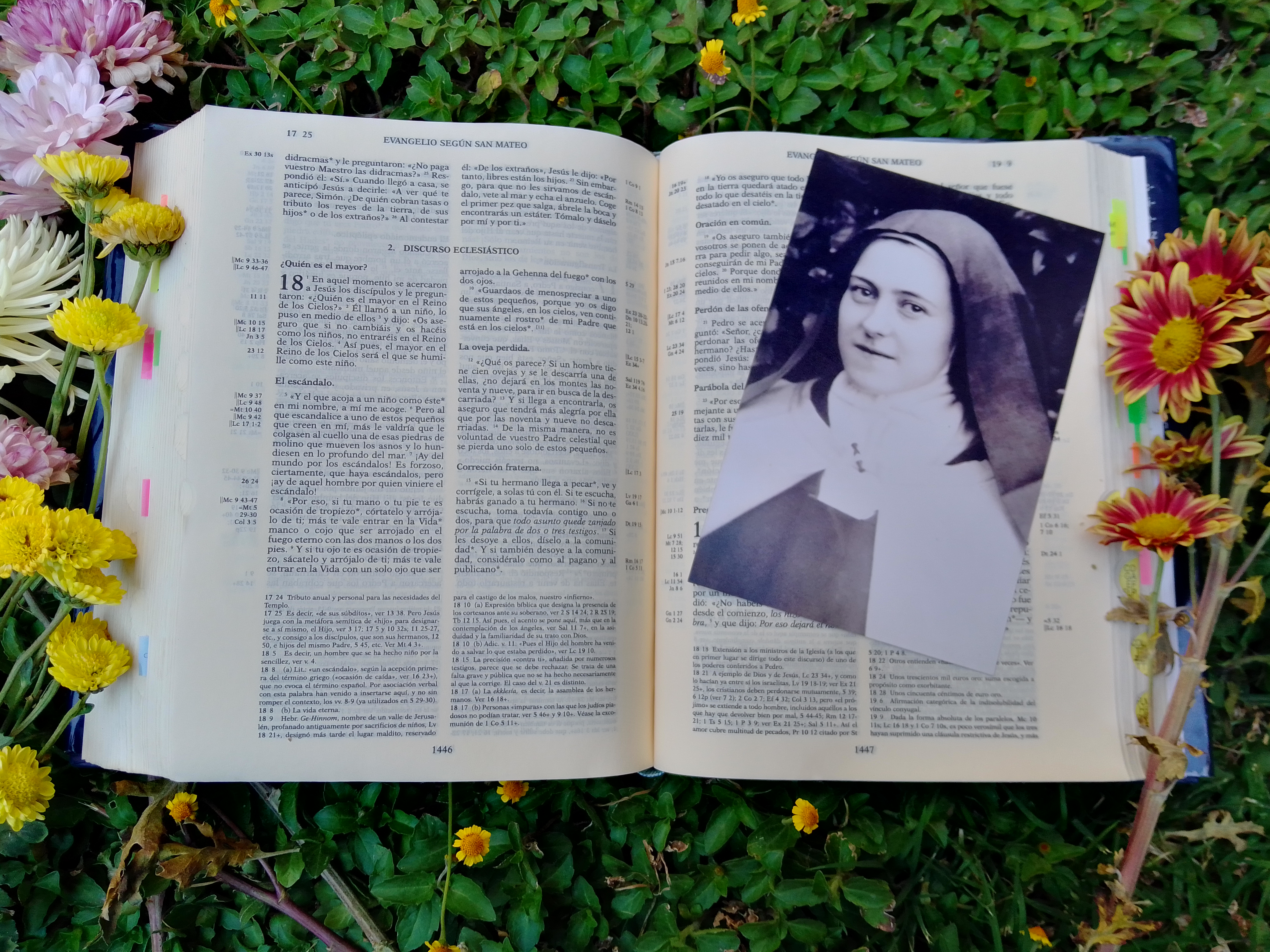 St Thérèse: ‘The Gospel Canonised’
