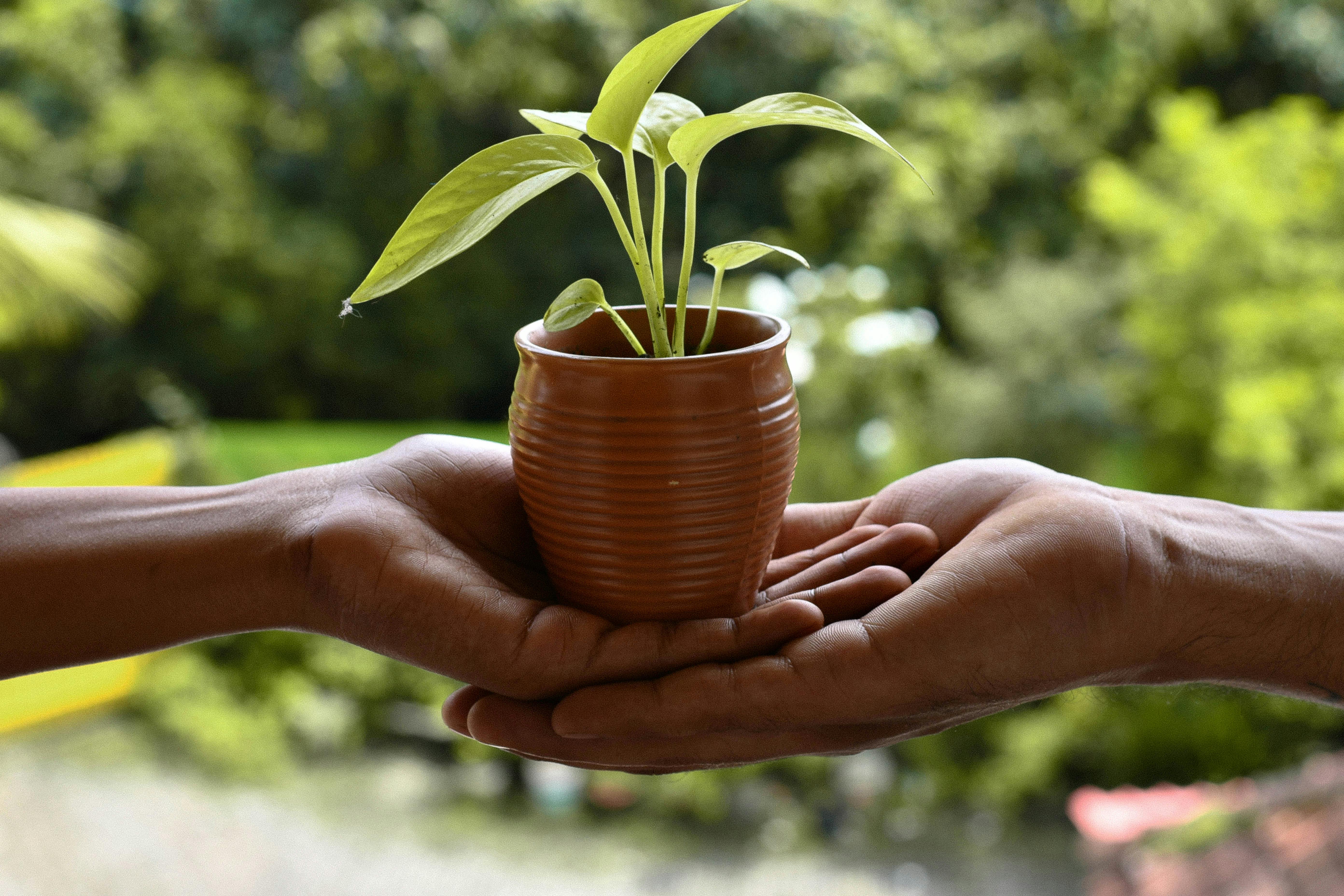 How We Are to Live: The Carmelite Vision of Shared Life