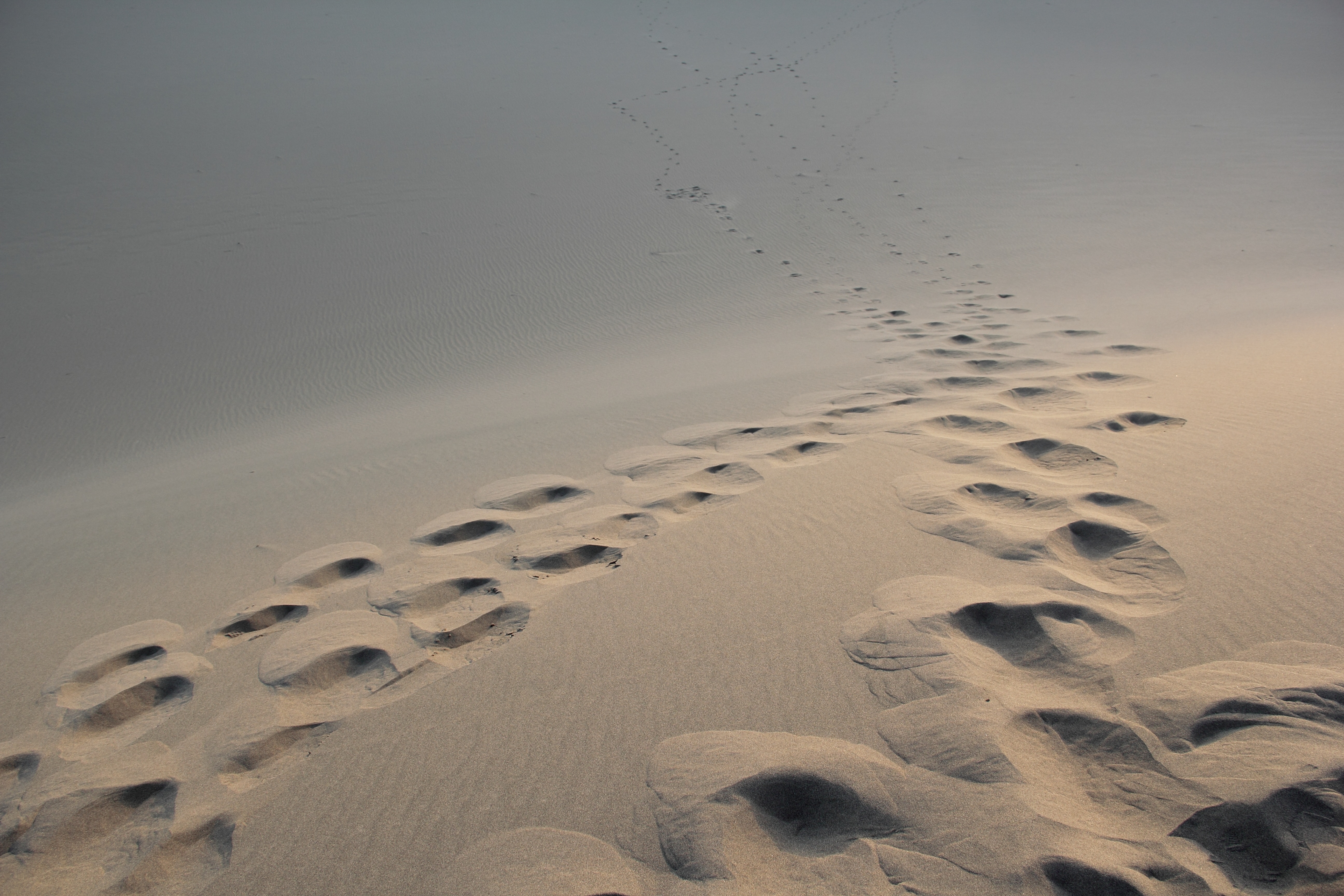 In the Silence, He Calls: Walking Matthew 4:11–23 the Carmelite Way